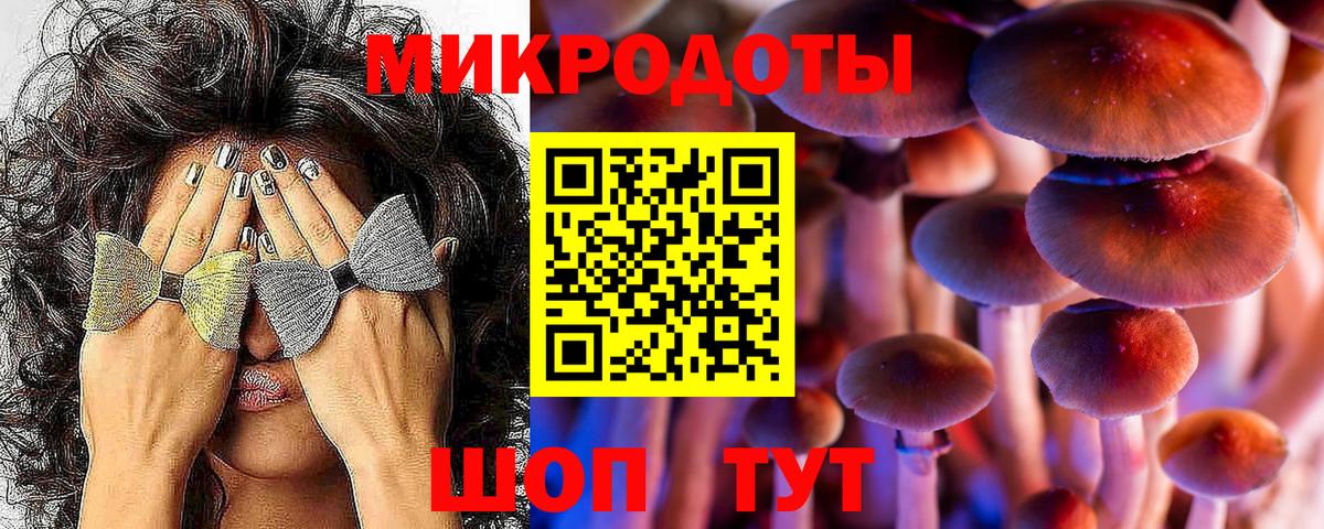 ГАШ Абинск